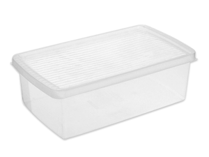 Caixa plástica para organizar sapatos/acessórios 36x20x12 - 60200